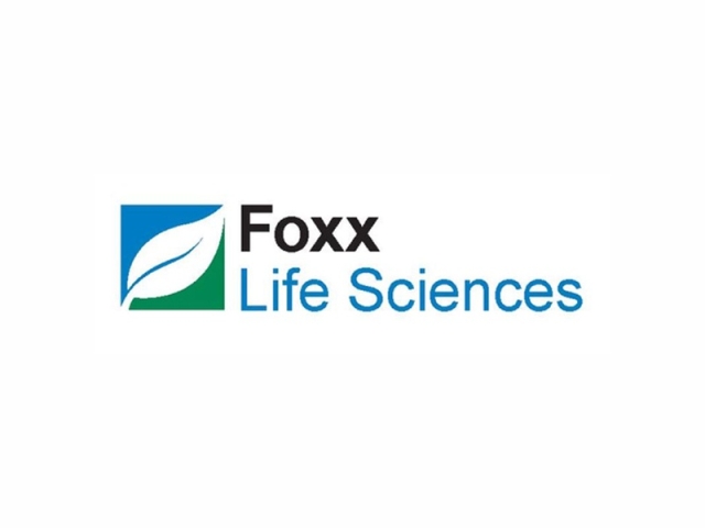 FoxxLife - Ambar